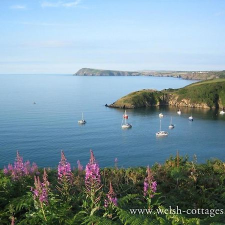 Cwmbrandy Cottage Fishguard Exterior foto