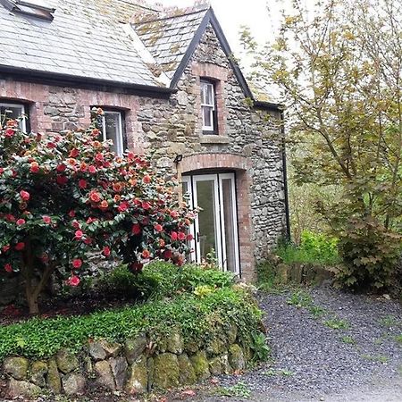 Cwmbrandy Cottage Fishguard Exterior foto
