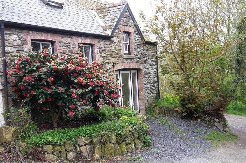 Cwmbrandy Cottage Fishguard Exterior foto