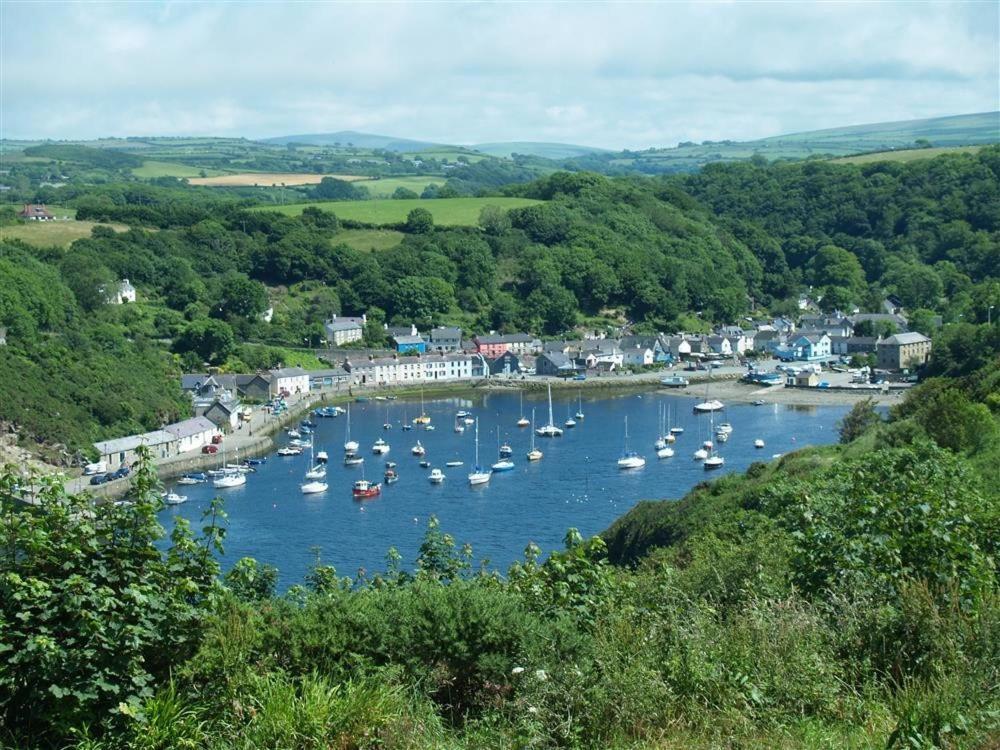 Cwmbrandy Cottage Fishguard Exterior foto