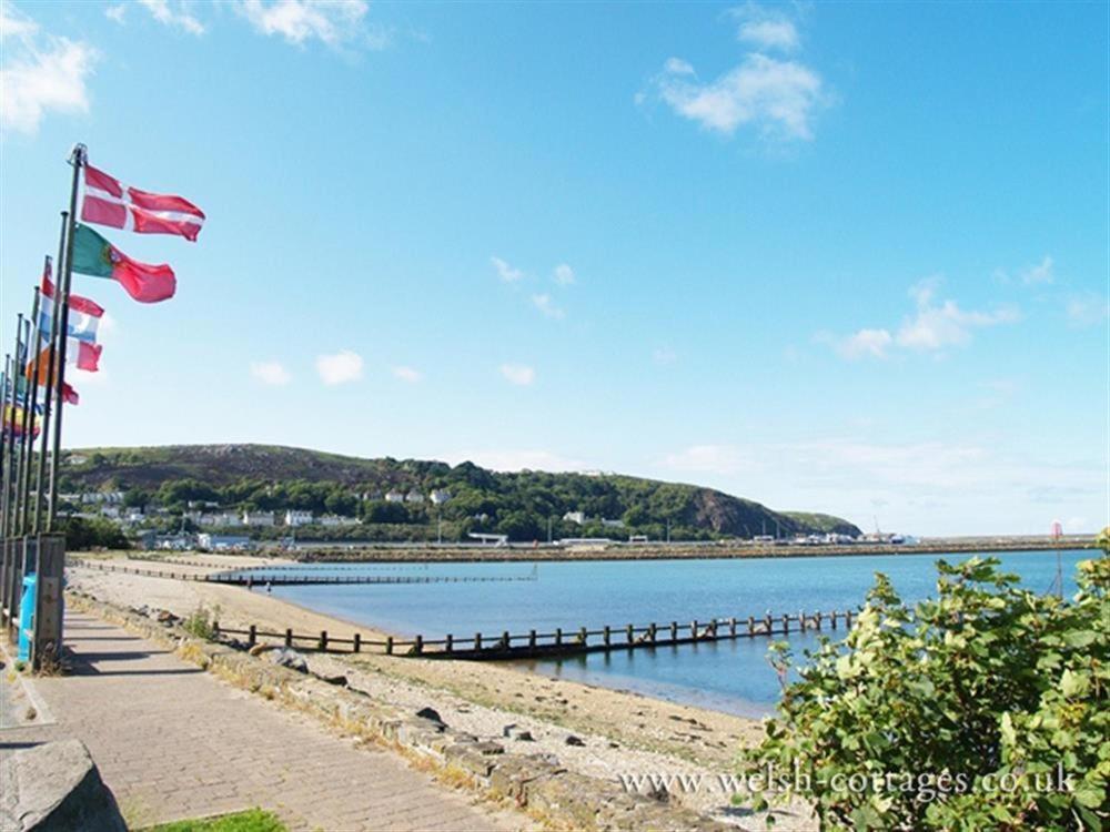 Cwmbrandy Cottage Fishguard Exterior foto